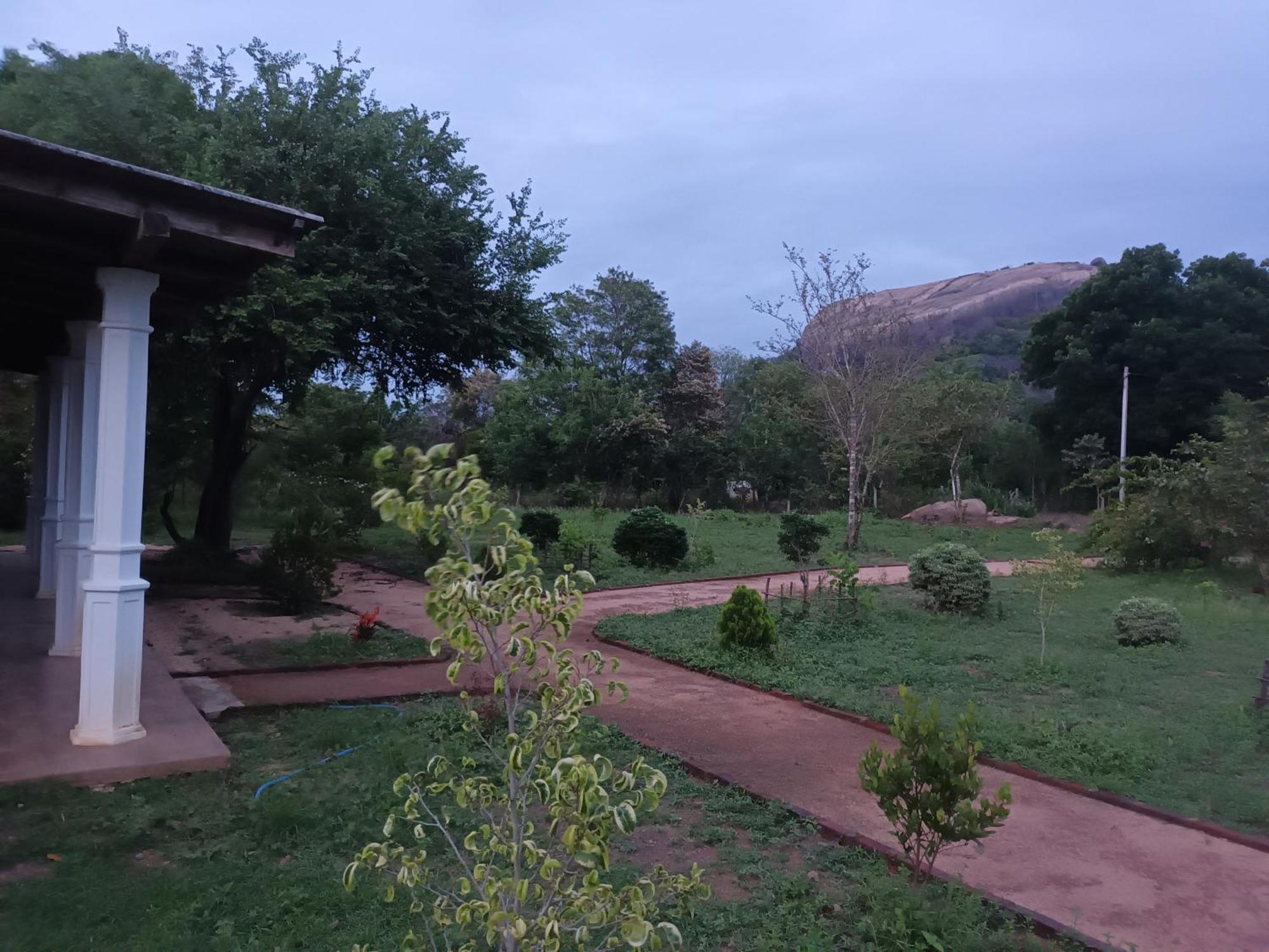 Sigiri Arana Sigiriya Hotell Eksteriør bilde
